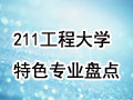 211WIPc